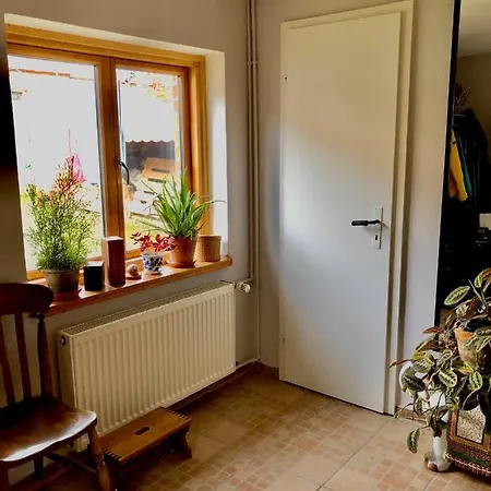Gemuetliches Studio-Apartment In Ostseenaehe - Cosy Wulfi Probsteierhagen Exterior foto