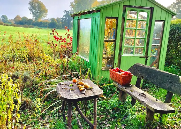 Gemuetliches Studio-Apartment In Ostseenaehe - Cosy Wulfi