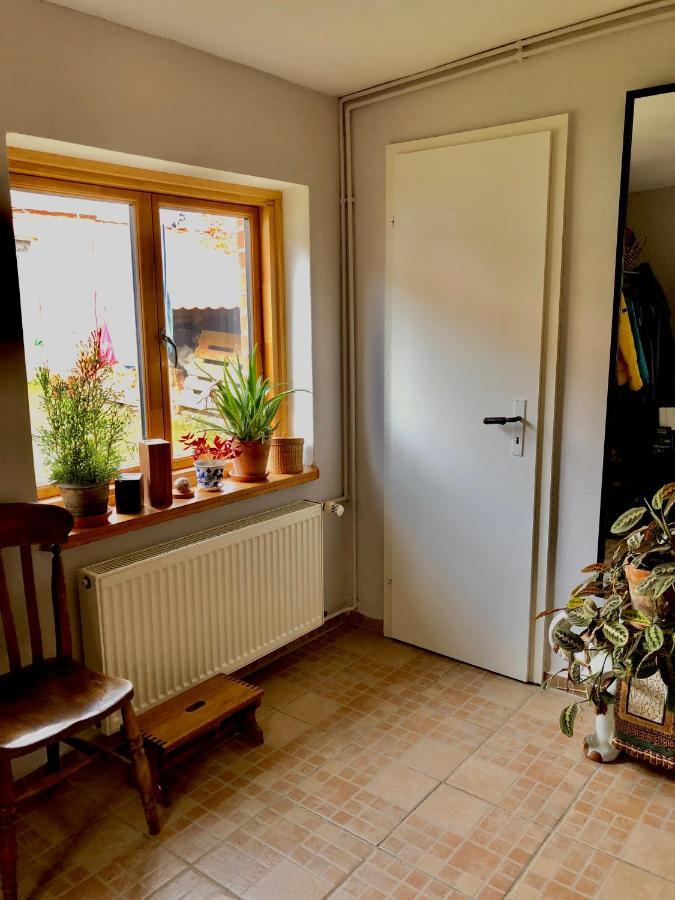 Apartment Gemuetliches Studio-apartment In Ostseenaehe - Cosy Wulfi Probsteierhagen