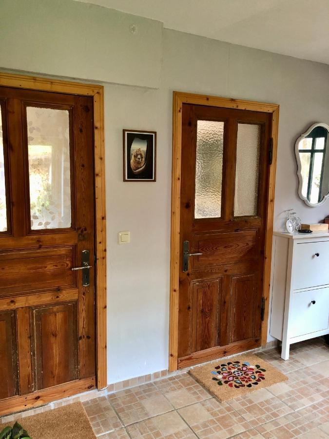 Gemuetliches Studio-apartment In Ostseenaehe - Cosy Wulfi Apartment