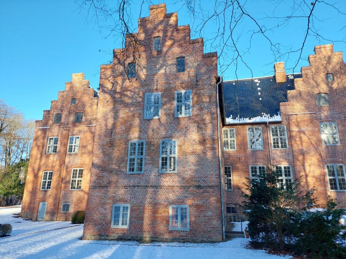 Gemuetliches Studio-apartment In Ostseenaehe - Cosy Wulfi *