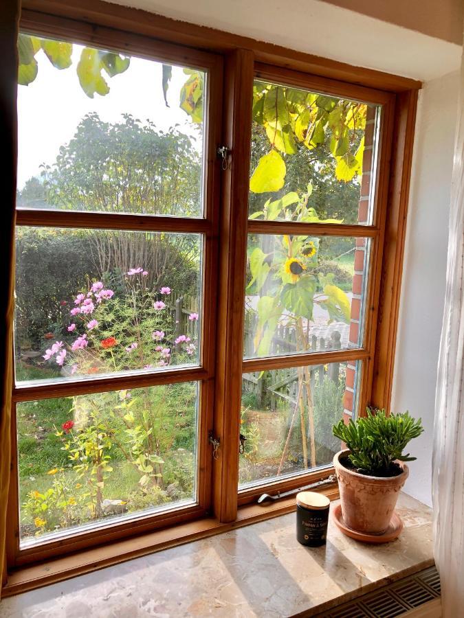 Gemuetliches Studio-apartment In Ostseenaehe - Cosy Wulfi * Probsteierhagen